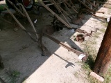 HORSE DRAWN PLOW