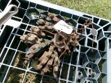 PLANTER COGS