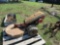GRAVELY MACHINE