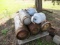 PALLET OF LP TANKS