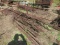 2 PILES OF REBAR