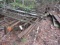 STEEL TRUSSES