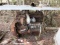 SALVAGE ENGINE