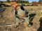CEMENT MIXER