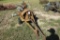BERKLEY PTO PUMP