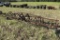 4 ROW PITTSBURG CULTIVATOR
