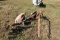 POTATO PLOW