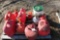 GAS CANS