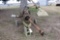 GORMAN RUPP PTO PUMP - MR. WELLS SAYS A PUMPING MACHINE