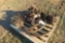 CULTIVATOR & CHISEL PLOW PARTS