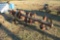 CULTIVATOR FRAME