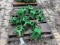 JD 1720 PLANTER PARTS