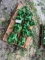 JD 1720 PLANTER PARTS