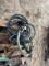 HYD PUMP