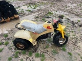 3-WHEELER NOT RUNNING