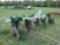 STRICKLAND BROTHERS 4-ROW POTATO PLOW, HYD SHIFT, 38