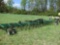 UNVERFERTH 28' FIELD CULTIVATOR, HYD FOLD