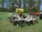 JD 4-ROW STRIP TILL PLANTER, KMC 4-ROW RIPPER, ROLLING BASKET, LIFT ASSIST, 38