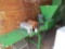 BERRY 288 CELL ELECTRIC SEEDER