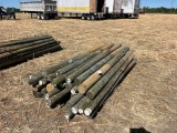 ASSORTMENT OF TREATED POST