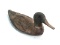 Early 1900's Canvas Duck Decoy - Drake