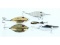 Assortment of 5 Fishing Lures