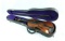 Vintage Violin w/Carrying Case