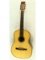 6-String Acoustical Guitar