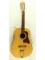12-String Acoustical Guitar