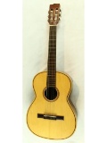 6-String Acoustical Guitar