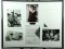 5 Ingrid Bergman Photos and Signed Contract