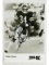 Walter Payton (Chicago Bears) Signed Photo