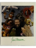 Jim Henson Signed Photo