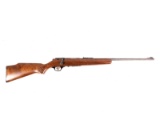 Glenfield Model 20 .22 Caliber