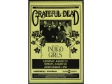 Grateful Dead Indigo Girls Poster 1993