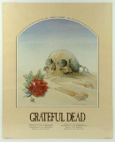 Grateful Dead Skull in Sand Europe Poster 1981