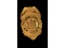 Obsolete Special Officer Badge