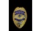 Obsolete Wells Fargo Security Services Badge