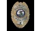 Obsolete Hampshire Police Chief IL Badge