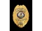 Obsolete Hampshire Police Department IL Badge