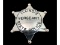 Obsolete Illinois State Sergeant Police Badge