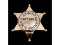 Obsolete Illinois State Captain 2 Police Badge