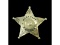 Obsolete Merchant Police Illinois Badge