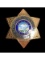 Obsolete California Hotel Casino Security Badge