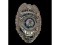 Obsolete Naperville Communications Division Badge