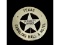 Obsolete Texas Hall & Hotel Security Officer Badge