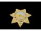 Obsolete Sunset Station Security Badge