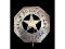 Obsolete Police Texas Mexican RWY Badge