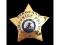 Obsolete Sergeant Hampshire IL Police Badge