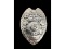 Obsolete Patrolman Belleville Police Badge